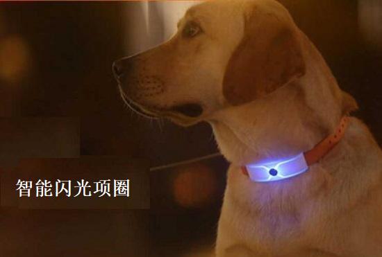 智能闪光项圈