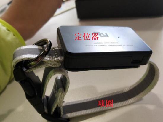 防丢项圈