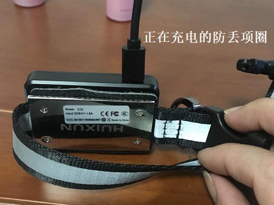 防丢项圈