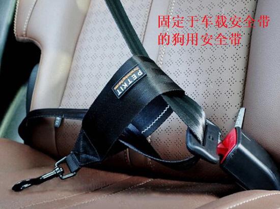 狗用安全带