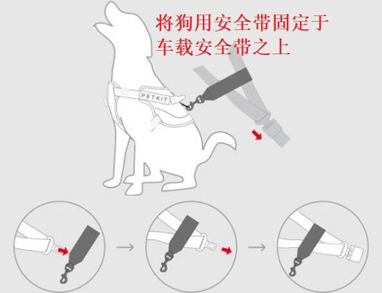 狗用安全带