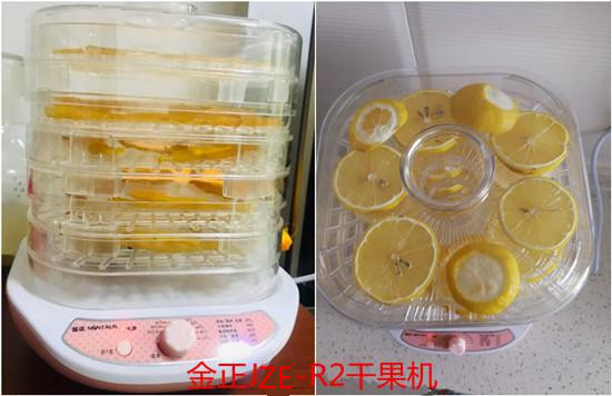 金正干果机