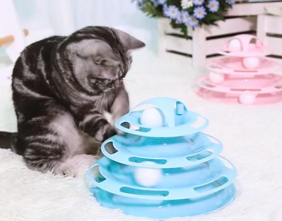 逗猫转盘