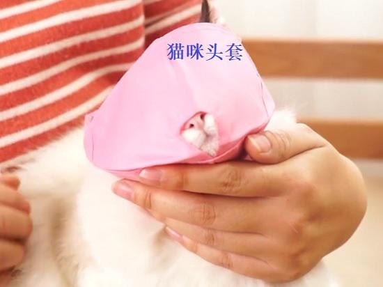 猫咪头套
