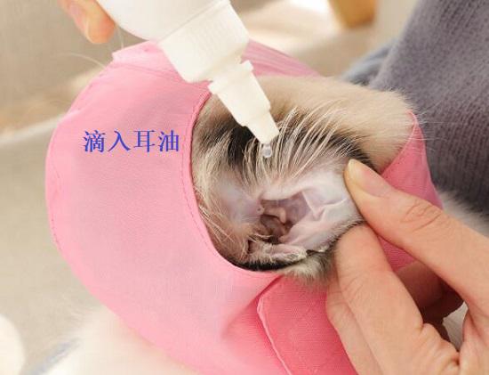 滴入洗耳油