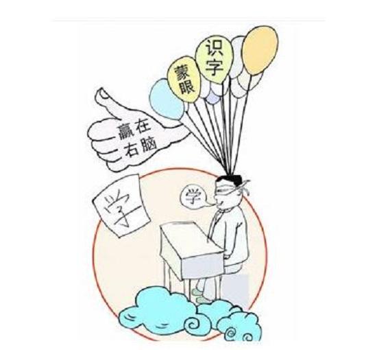 全脑教育