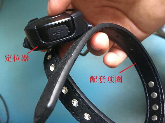 tuqingcwdweiqk3jpg