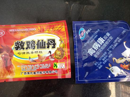 宠物小鹅的喂养（鹅药）