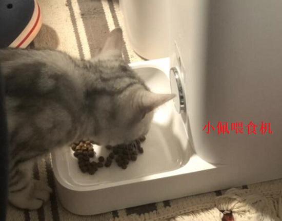 小佩mini宠物喂食机