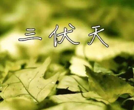 热天