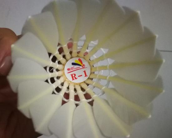 焦点羽毛球