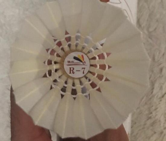 焦点羽毛球