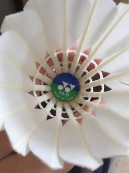 尤尼克斯羽毛球