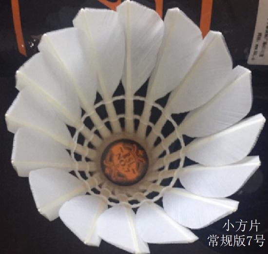 亚狮龙羽毛球（常规版）