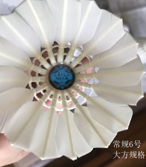 亚狮龙羽毛球（常规版）