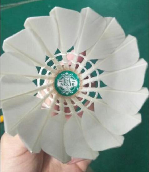 亚狮龙10号球