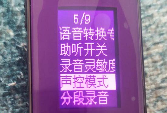 纽曼录音笔
