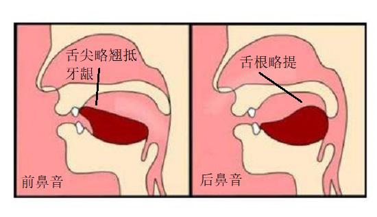 前后鼻音的发音方法