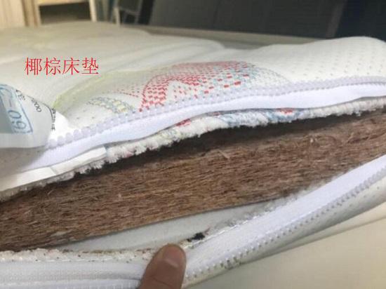 椰棕护脊床垫