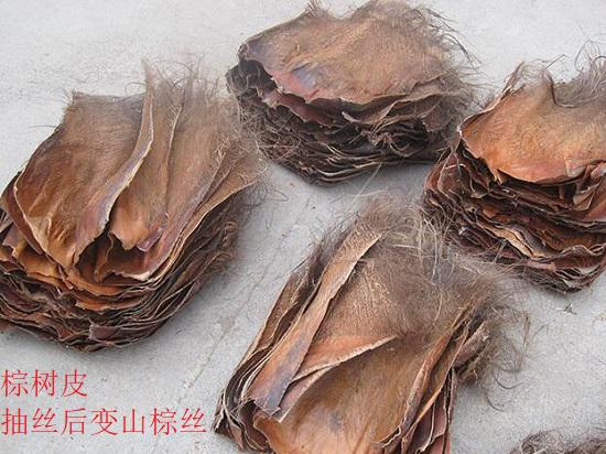 棕树皮