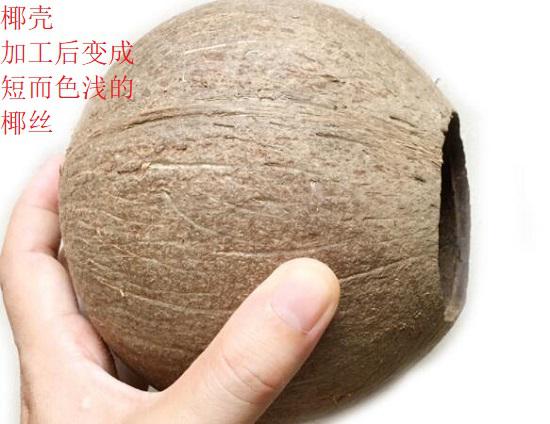 椰壳