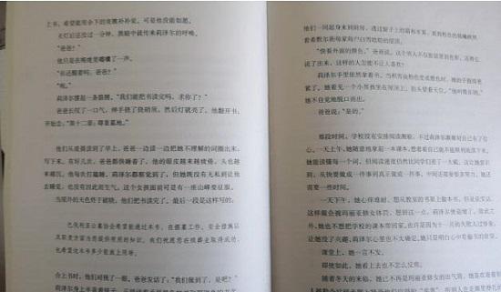 《偷书贼》