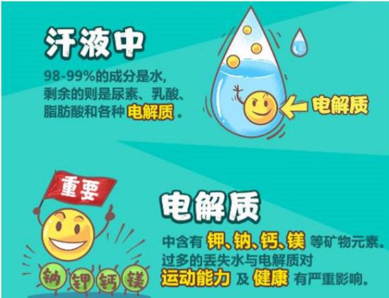 电解质的功能