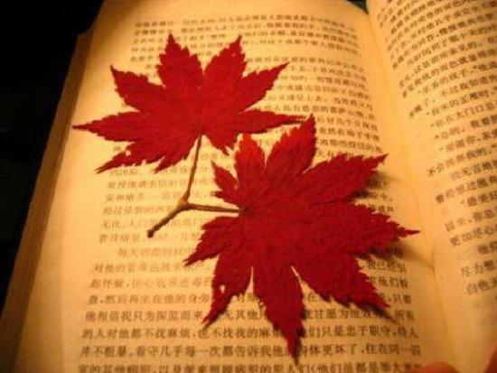 精读