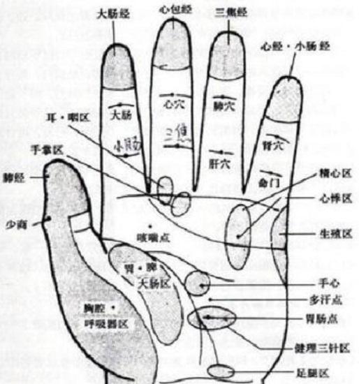 穴位