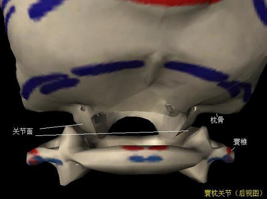 寰枕关节
