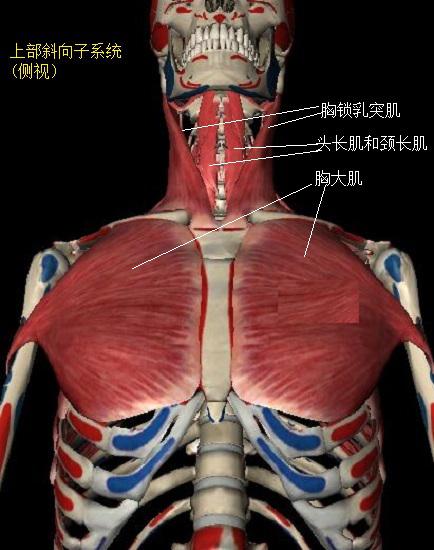 上部斜向子系统
