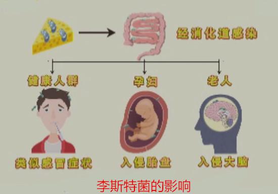 李斯特菌的影响