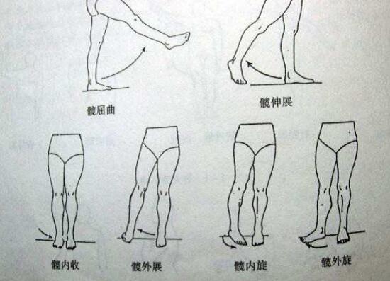 关节在不同面上的运动 关节在不同面上的运动