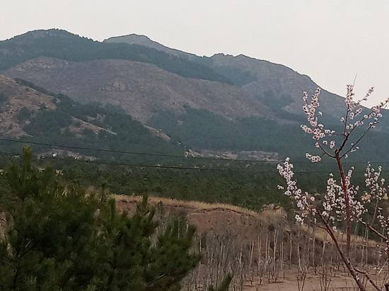 大青山