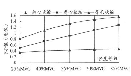 向心收缩、离心收缩和等长收缩