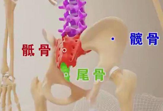骨盆不对称问题