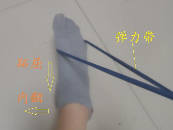 胫骨后肌的力量训练