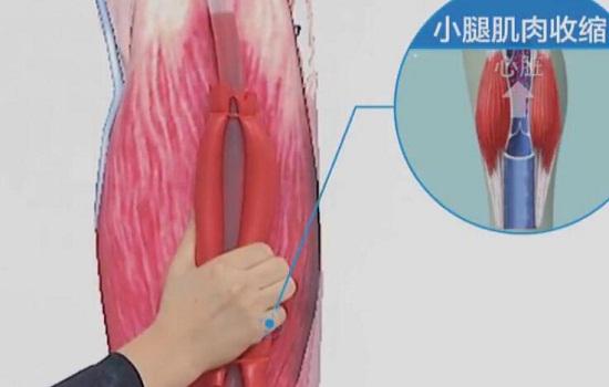肌肉泵效应