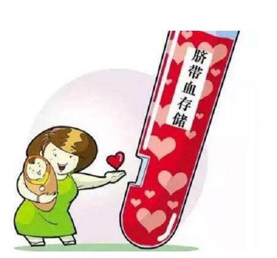 脐带血
