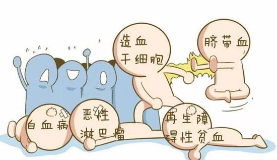 脐带血