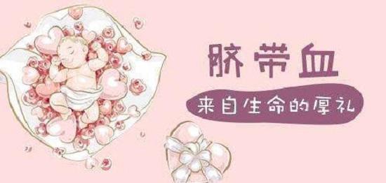 脐带血