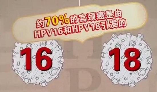 高危型HPV病毒