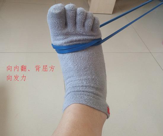 胫骨前肌的激活