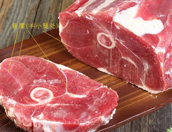 肌肉筋膜组织（横切面）