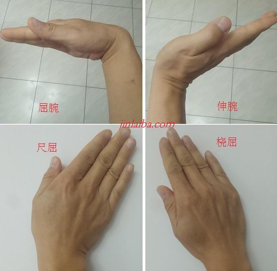 腕关节的活动功能