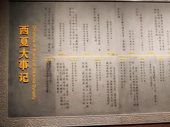 西夏博物馆拍摄