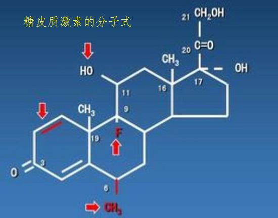 糖皮质激素的分子式
