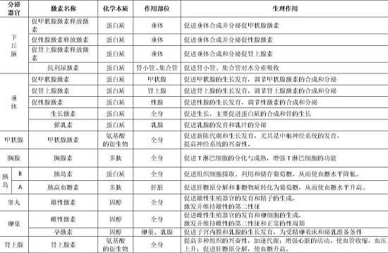 人体主要内分泌器官及其功能