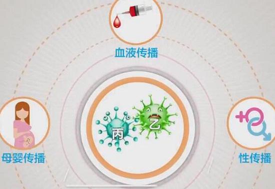 乙肝和丙肝病毒传播途径