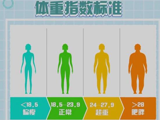 体重指数标准